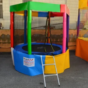 Mini Tappeto Elastico Rotondo