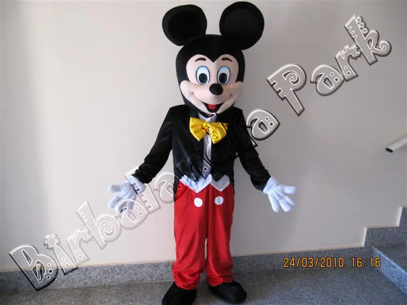 Costume per animazione 5