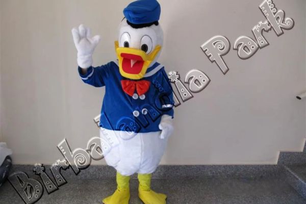 Costume-per-animazionePaperino
