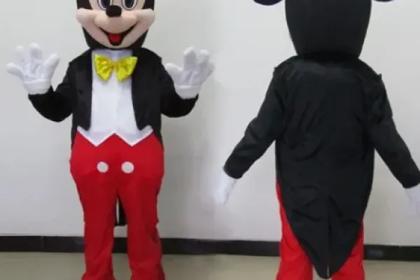 Costume-per-animazioneTopolino Mago