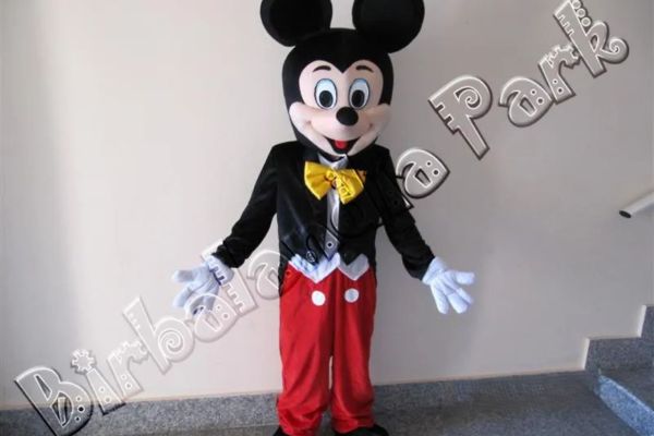 Costume-per-animazioneTopolino