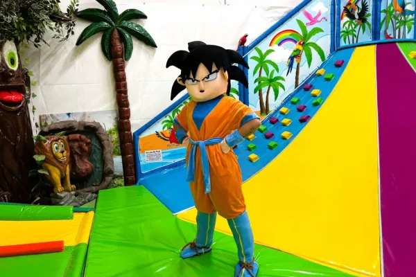 CostumeperAnimazioneGoku