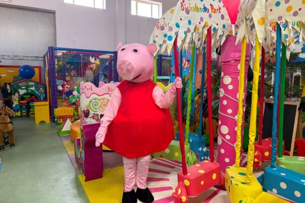 CostumeperAnimazionePeppaPig