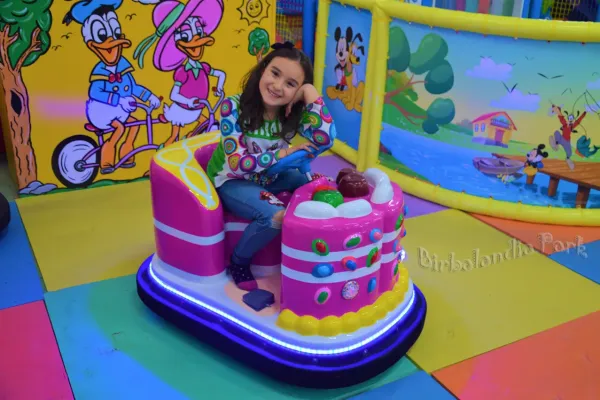 Mini Car