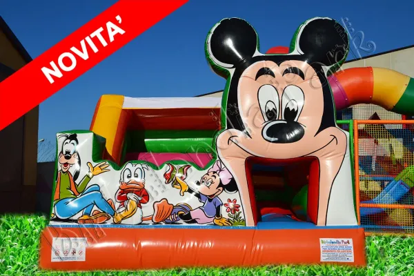Scivolo gonfiabile per Parco Giochi