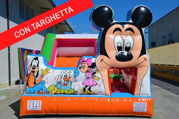 Scivolo gonfiabile per Parco Giochi