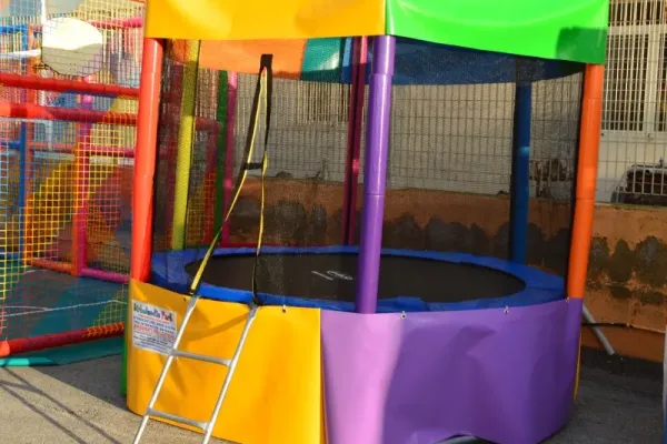 Trampolino Elastico Rotondo con scala